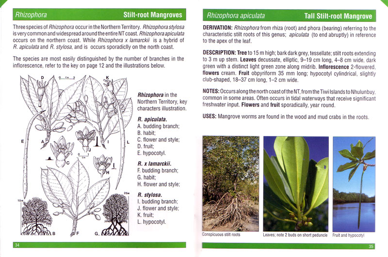 Mangrove - PLANT IDENTIKIT for north Australias Top End - aus dem Buch
